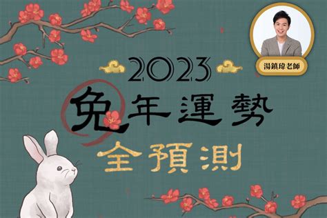 2023猴年運勢|【2023兔年運勢全預測14】生肖猴運勢谷底翻身，正。